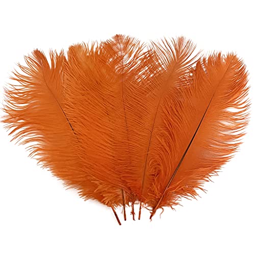10 Stück Straußenfedern, 30–35 cm (12–14 Zoll), Federn für Partys, Hochzeiten, Tafelaufsätze, Festivals, Vasen, Dekoration (Orange) von generic