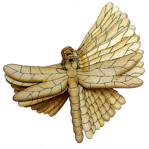 10 x Holz-Libellenform, 3 mm, Sperrholz, kann mit Filzstiften gefärbt werden (8 x 12,8 cm, Loch oben mittig) von generic