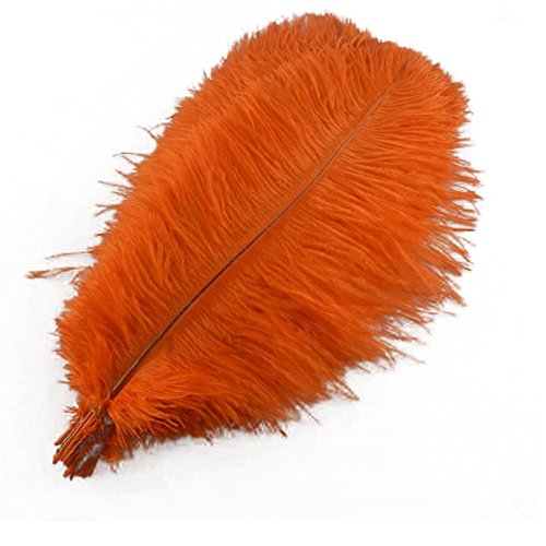 100 Stück Straußenfedern, 45,7–50,8 cm, Federbusch für die Hochzeitsdekoration zu Hause (Orange) von generic