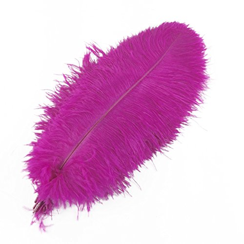 100 Stück Straußenfedern, 45,7–50,8 cm, Federbusch für die Hochzeitsdekoration zu Hause (Rose) von generic
