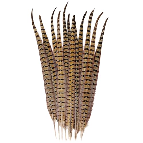 12 Stück natürliche Federn, männliche Ringhalsfasanenschwänze, Federn, 50–55 cm, 50–55 cm, für Bastelarbeiten, Hochzeiten, Partys, Aufführungen, Heimdekoration, männliche Fasanenfedern 12 Stück natürliche Federn, männliche Ringhalsfasanenschwänze, Federn, 50–55 cm, 50–55 cm, für Bastelarbeiten, Hochzeiten, Partys, Aufführungen, Heimdekoration, männliche Fasanenfedern von generic