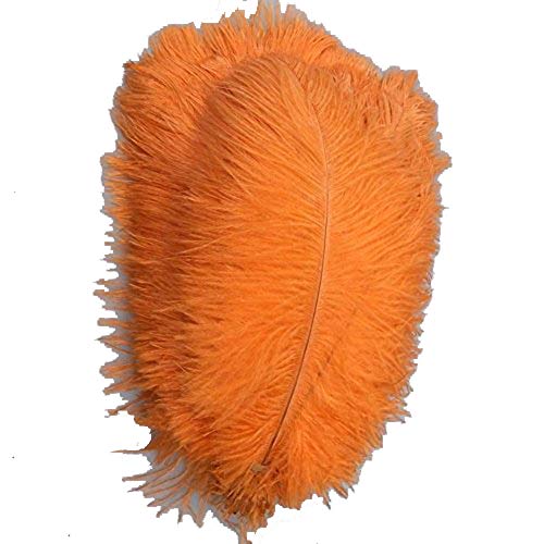 15 Straußenfedern, 40,6–45,7 cm, Federbusch für Hochzeitsmittelstücke, Heimdekoration (Orange) von generic