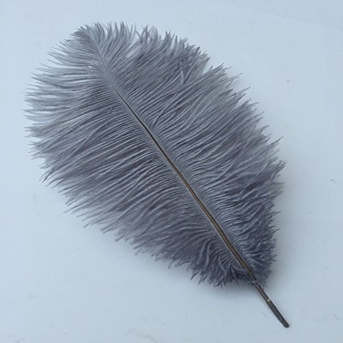 16-18 Zoll 40-45 cm Straußenfedern zum Selbermachen, 10er-Pack (grau) von generic