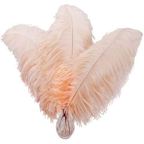 16–18 Zoll große Straußenfedern Plumas – 10 Boho-Federn für Vasendekoration, Hochzeitsfeier-Tischdekorationen und Heimdekorationen (Champagner) von generic