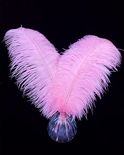 16-18 Zoll rosa Straußenfedern zum Basteln für Hochzeitsfeiern, Tafelaufsätze, Heimdekoration, DIY-Basteln, 10 Stück 16-18 Zoll rosa Straußenfedern zum Basteln für Hochzeitsfeiern, Tafelaufsätze, Heimdekoration, DIY-Basteln, 10 Stück von generic