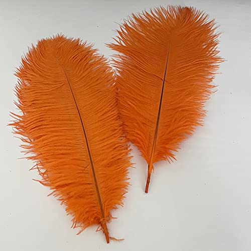 20 Stück natürliche Straußenfedern, 25–30 cm, Federbusch für Hochzeitsdekoration, Osterhauben, Kostümanpassung und Halloween-Party, Karneval von generic