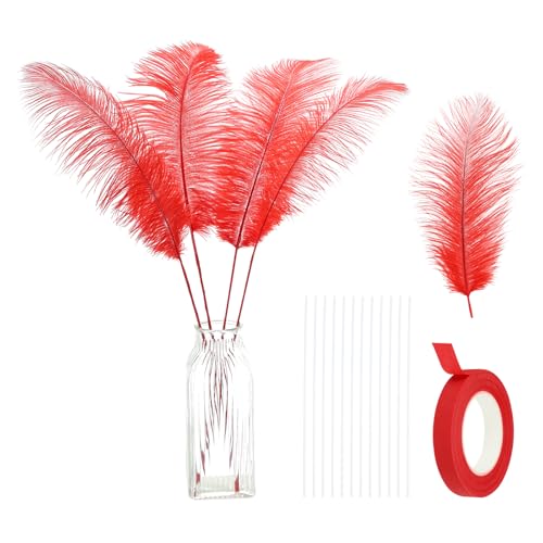 24 Stück natürliche Straußenfedern, 30–35 cm, großes Straußenfeder-Set zum Basteln, für Vasen, Heimdekoration, Hochzeiten, Partys, Tafelaufsätze, Blumenarrangements (rot) von generic