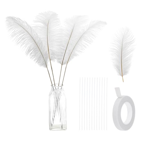 24 Stück natürliche Straußenfedern, 35–40 cm, großes Straußenfeder-Set zum Basteln, für Vasen, Heimdekoration, Hochzeiten, Partys, Tafelaufsätze, Blumenarrangements (weiß) von generic