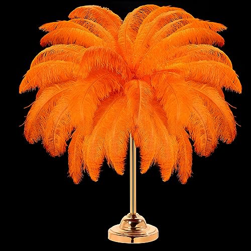 30 Stück große natürliche Straußenfedern, 40,6–45,7 cm, für Tafelaufsätze für Hochzeiten, Partys, Heimdekoration, Blumenarrangements (Orange) von generic