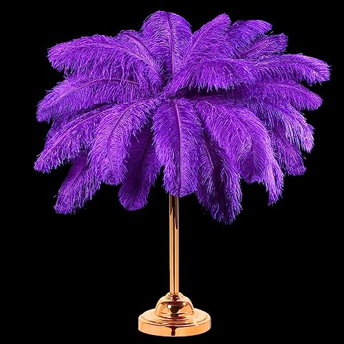 30 Stück große natürliche Straußenfedern, 40,6–45,7 cm, für Tafelaufsätze für Hochzeiten, Partys, Heimdekoration, Blumenarrangements (lila) von generic