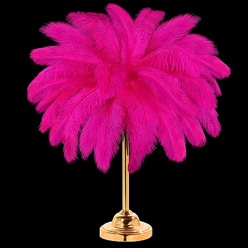 30 Stück große natürliche Straußenfedern, 40,6–45,7 cm, für Tafelaufsätze für Hochzeiten, Partys, Heimdekoration, Blumenarrangements (rosarot) von generic