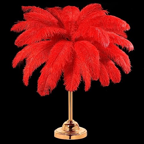 30 Stück große natürliche Straußenfedern, 40,6–45,7 cm, für Tafelaufsätze für Hochzeiten, Partys, Heimdekoration, Blumenarrangements (rot) von generic