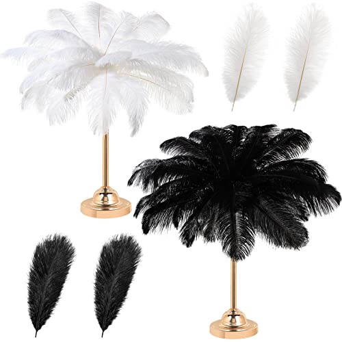 30 Stück große natürliche Straußenfedern, 40,6–45,7 cm, für Tafelaufsätze für Hochzeiten, Partys, Heimdekoration, Blumenarrangements (schwarz, weiß) von generic
