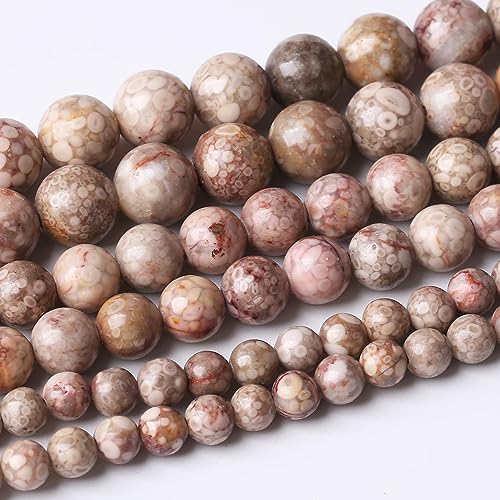 32 Stück 12 mm blumige Kauri-Fossilsteinperlen, Energieheilungsperlen für die Herstellung von DIY-Schmuck, Armbändern und Halsketten, zur Schmuckherstellung, 38,1 cm 32 Stück 12 mm blumige Kauri-Fossilsteinperlen, Energieheilungsperlen für die Herstellung von DIY-Schmuck, Armbändern und Halsketten, zur Schmuckherstellung, 38,1 cm von generic