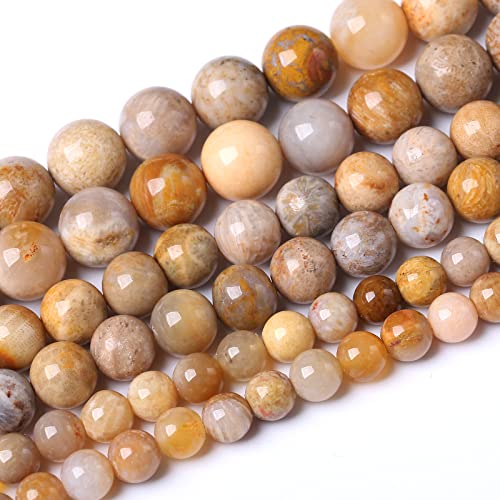 36 Stück 10 mm natürliche Korallen-Jade-Steinperlen, Energieheilungsperlen für die Herstellung von DIY-Schmuck, Armbändern und Halsketten, zur Schmuckherstellung, 38,1 cm 36 Stück 10 mm natürliche Korallen-Jade-Steinperlen, Energieheilungsperlen für die Herstellung von DIY-Schmuck, Armbändern und Halsketten, zur Schmuckherstellung, 38,1 cm von generic