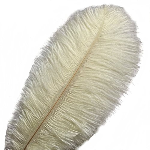 50 Stück, natürliche Straußenfedern, 30–35 cm, für Hochzeit, Kleidung, Party, Dekoration, DIY (Elfenbein) von generic
