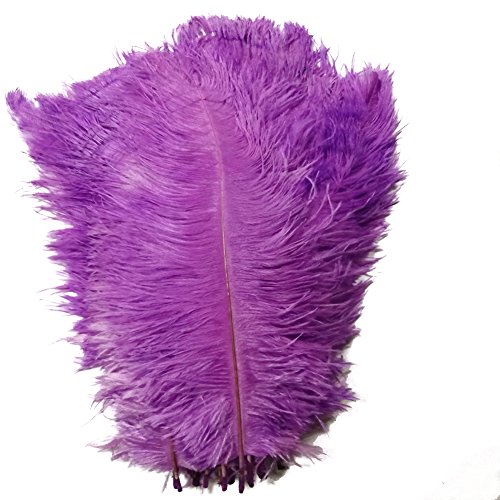50 Stück, natürliche Straußenfedern, 30–35 cm, für Hochzeit, Kleidung, Party, Dekoration, DIY (Lavendel) von generic
