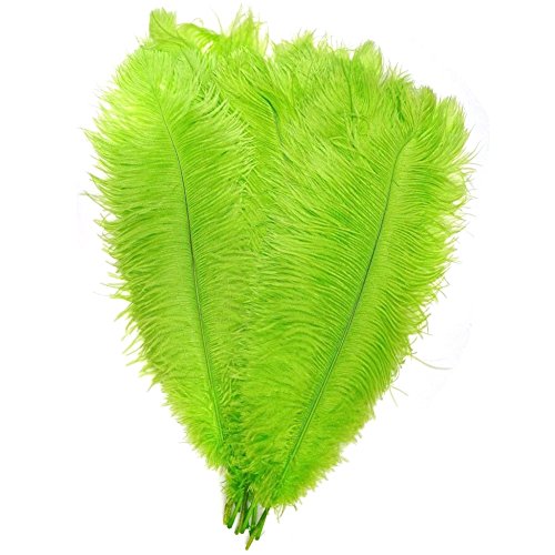 50 Stück, natürliche Straußenfedern, 30–35 cm, für Hochzeit, Kleidung, Party, Dekoration, DIY (Limettengrün) von generic