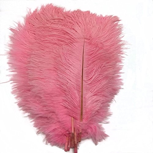 50 Stück, natürliche Straußenfedern, 30–35 cm, für Hochzeit, Kleidung, Party, Dekoration, DIY (Pink) von generic