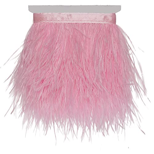 Fransenbesatzband mit Straußenfedern zum Nähen, für Bastelarbeiten, Kleidung, Accessoires, lateinamerikanische Hochzeitskleider, DIY, 2–5 Yards, 3–4 Zoll Breite (5 Yards, Babyrosa) von generic