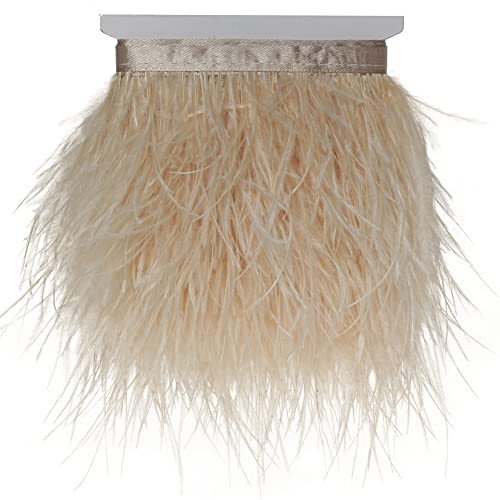 Fransenbesatzband zum Nähen mit Straußenfedern, zum Basteln, für Kleidung, Accessoires, lateinamerikanische Hochzeitskleider, DIY, 2–5 Yards, 3–4 Zoll Breite (5 Yards, Champagner) von generic