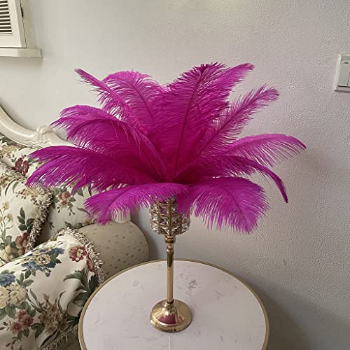 Fuchsia 10 Stück 16-18 Zoll Straußenfedern für Hochzeitsmittelstücke Weihnachtsfeder Home Dekorationen Party Fuchsia 10 Stück 16-18 Zoll Straußenfedern für Hochzeitsmittelstücke Weihnachtsfeder Home Dekorationen Party von generic