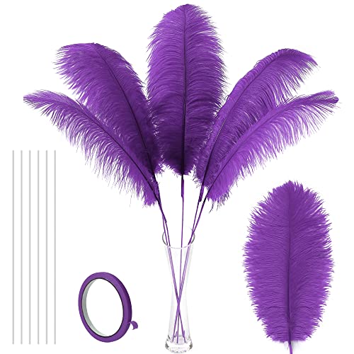 Große violette Straußenfedern – 10-teiliges Bastelset, 86,4 cm extra für hohe Vasen, Halloween, Party-Tischdekoration und Hochzeitsdekoration (violett) von generic