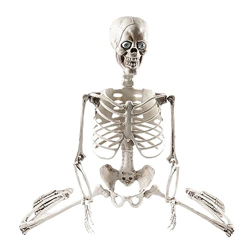 Halloween-Skelett, Halloween-Dekorationen, Totenkopf, lebensgroß, Ganzkörper-bewegliche Gelenke, Skelettschädel Hand, Körpermodell Dekor, Halloween-Skelett-Dekorationen für Halloween-Party von generic