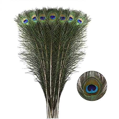 Natürliche lange Pfauenfedern – 40 Stück, 58,4–71,1 cm, für Blumenarrangements, Hochzeiten, Heim- und Partydekorationen. Natürliche lange Pfauenfedern – 40 Stück, 58,4–71,1 cm, für Blumenarrangements, Hochzeiten, Heim- und Partydekorationen. von generic