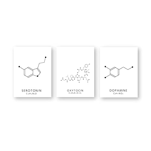 Oxytocin und Dopamin Strichzeichnung Poster Molekül Serotonin Wandkunst Leinwand Malerei Chemie Wissenschaft Bild Dekoration Ungerahmt-30X40cmX3 von generic