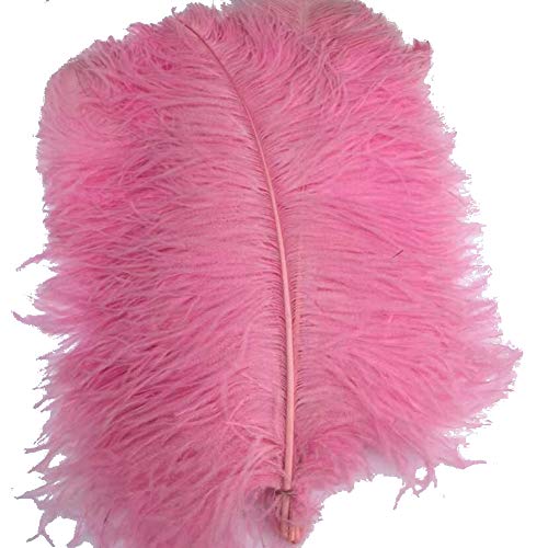 Rosa 16-18 Zoll 40-45 cm Straußenfeder DIY Handwerk Feder Packung mit 10 Rosa 16-18 Zoll 40-45 cm Straußenfeder DIY Handwerk Feder Packung mit 10 von generic