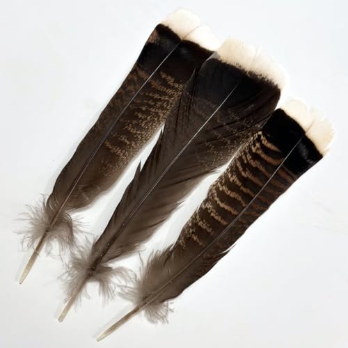 Truthahnfedern, große, lange Naturfedern, 20–25 cm, große bilaterale Federn, zum Basteln, 12 Stück (natürlicher Truthahn) von generic