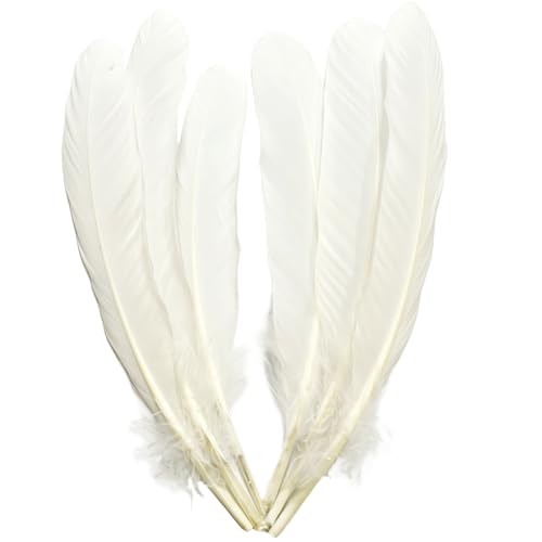 Weiße Federn, große, lange natürliche Gänsefedern, 21–25 cm, große bilaterale Federn, linke und rechte Flügel zum Basteln, 24 Stück (Naturweiß-1) von generic