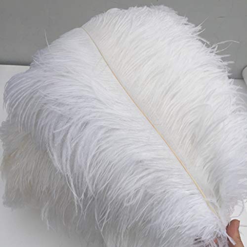 Weiße Straußenfedern, 40–45 cm, DIY-Bastelfedern, 10 Stück Weiße Straußenfedern, 40–45 cm, DIY-Bastelfedern, 10 Stück von generic