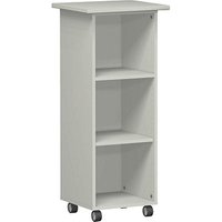 geramöbel Flex Bürowagen grau 3 Ebenen 40,0 x 45,0 x 117,0 cm geramöbel Flex Bürowagen grau 3 Ebenen 40,0 x 45,0 x 117,0 cm von geramöbel