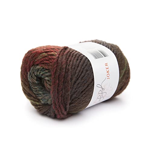 ggh Joker - Schurwolle Mischung - 50g Wolle zum Stricken oder Häkeln - Dicke Wolle mit Farbverlauf - Farbe 017 - Braunrot-Oliv meliert von ggh