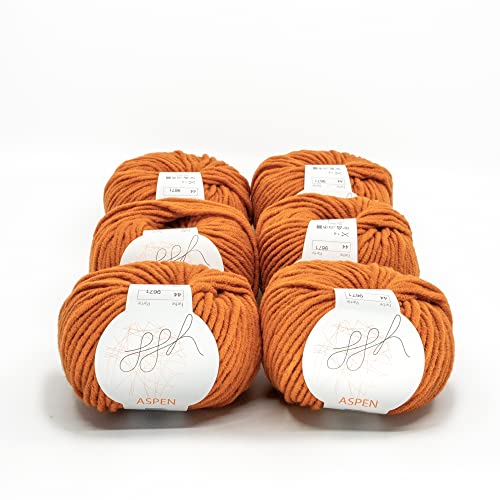 ggh Aspen Box - dicke Merinowolle Mischung - 6x50g Knäuel (insgesamt 300g) - zum Stricken oder Häkeln Farbe 044 - Kupferglanz von ggh