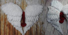 Angelo: Adventskalender Angelo: Adventskalender von gialLino