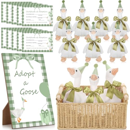 One Silly Goose Geburtstagsdekoration, 10 Sets, 30,5 cm, weiche Gans, Stofftierhut, Adoptionskarten mit Holz-Tischdekoration, Geburtstagsgeschenke, Grün von giftlyze