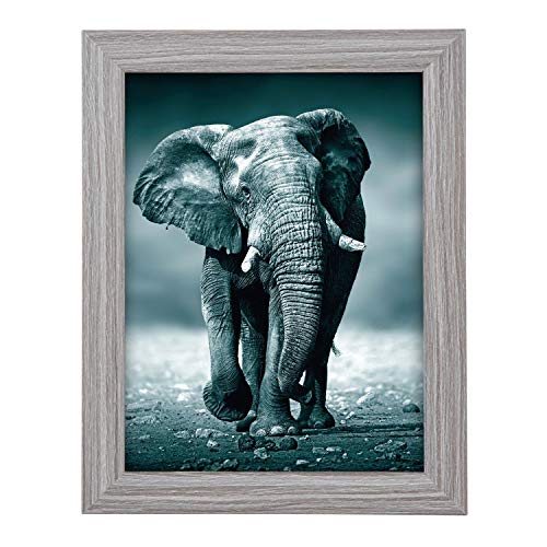 goldbuch 92 0743 Bilderrahmen Toscana aus Holz, Fotorahmen für Bild im 13x18 cm Format, Portraitrahmen mit Aufsteller & Wandhalterung, Einzelrahmen aus MDF, Foto Rahmen, grau goldbuch 92 0743 Bilderrahmen Toscana aus Holz, Fotorahmen für Bild im 13x18 cm Format, Portraitrahmen mit Aufsteller & Wandhalterung, Einzelrahmen aus MDF, Foto Rahmen, grau von goldbuch