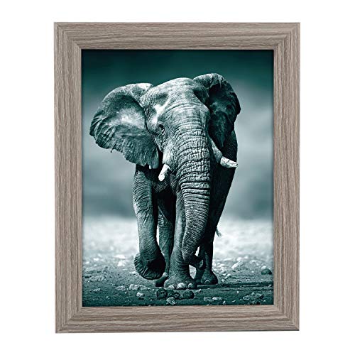 goldbuch 92 0744 Bilderrahmen Toscana aus Holz, Fotorahmen für Bild im 15x20 cm Format, Portraitrahmen mit Aufsteller & Wandhalterung, Einzelrahmen aus MDF, Foto Rahmen, grau von goldbuch