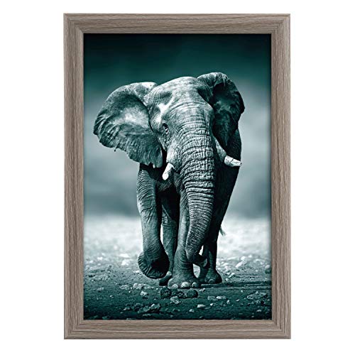 goldbuch 92 0745 Bilderrahmen Toscana aus Holz, Fotorahmen für Bild im 20x30 cm Format, Portraitrahmen mit Aufsteller & Wandhalterung, Einzelrahmen aus MDF, Foto Rahmen, grau goldbuch 92 0745 Bilderrahmen Toscana aus Holz, Fotorahmen für Bild im 20x30 cm Format, Portraitrahmen mit Aufsteller & Wandhalterung, Einzelrahmen aus MDF, Foto Rahmen, grau von goldbuch