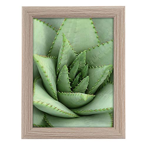 goldbuch 92 0754 Bilderrahmen Toscana aus Holz, Fotorahmen für Bild im 15x20 cm Format, Portraitrahmen mit Aufsteller & Wandhalterung, Einzelrahmen aus MDF, Foto Rahmen, Taupe goldbuch 92 0754 Bilderrahmen Toscana aus Holz, Fotorahmen für Bild im 15x20 cm Format, Portraitrahmen mit Aufsteller & Wandhalterung, Einzelrahmen aus MDF, Foto Rahmen, Taupe von goldbuch
