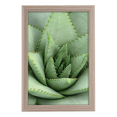 goldbuch 92 0755 Bilderrahmen Toscana aus Holz, Fotorahmen für Bild im 20x30 cm Format, Portraitrahmen mit Aufsteller & Wandhalterung, Einzelrahmen aus MDF, Foto Rahmen, Taupe goldbuch 92 0755 Bilderrahmen Toscana aus Holz, Fotorahmen für Bild im 20x30 cm Format, Portraitrahmen mit Aufsteller & Wandhalterung, Einzelrahmen aus MDF, Foto Rahmen, Taupe von goldbuch