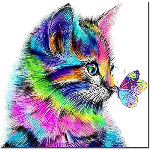 Fuumuui Malen Nach Zahlen Erwachsene und Kinder Anfänger Gemälde inklusive Pinsel und Acrylfarben 40 x 50 cm - Tiere, Katze und Schmetterling von Fuumuui
