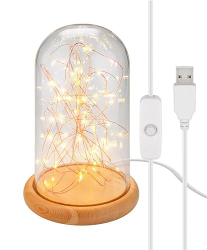 goobay 60340 Glasglocke mit LED-Micro-Lichterkette/dekorative Lampe/warmes, beruhigendes Licht/feierliche Beleuchtung für Winterdeko, Weihnachten, Innendekoration/Echtholz, Glas, mit Schalter von goobay