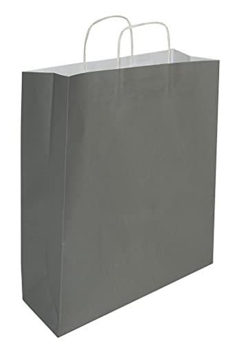 goodsforbusiness GmbH 50 x Papiertaschen grau, Gr. 22 x 10 x 28,5 cm | Papiertüte mit Papier-Kordelgriff | sehr stabile Papiertüten aus 100g/qm Kraftpapier von goodsforbusiness GmbH