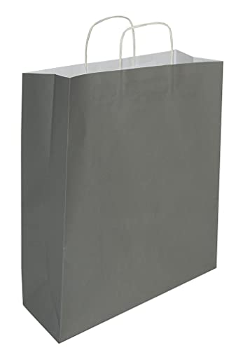 goodsforbusiness GmbH 50 x Papiertaschen grau, Gr. 22 x 10 x 28,5 cm | Papiertüte mit Papier-Kordelgriff | sehr stabile Papiertüten aus 100g/qm Kraftpapier von Aigentlich