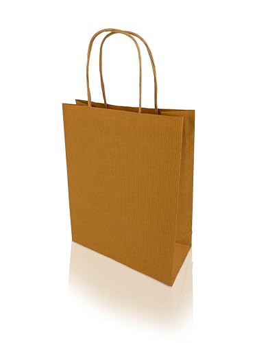 h-Green Papiertragetaschen 200x240x80 mm (25 Stück), tragbare Papiertüten mit 3kg Tragfähigkeit, recycelbare Geschenktüten aus 100% FSC® zertifiziertem Recycling-Kraftpapier, 90g/m², braun gerippt von h-Green
