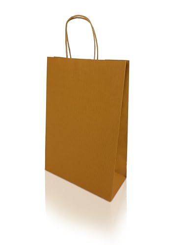 h-Green Papiertragetaschen 220x330x100 mm (200 Stück), tragbare Papiertüten mit 7kg Tragfähigkeit, recycelbare Geschenktüten aus 100% FSC® zertifiziertem Recycling-Kraftpapier, 90g/m², braun gerippt von h-Green